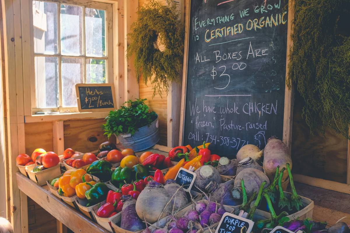 Why Organic Eco-Conscious Snacks Are the Future of Clean Beauty Nutrition